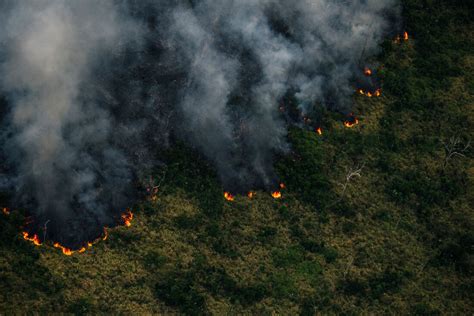 Amazônia bate recorde de queimadas em fevereiro Folha PE