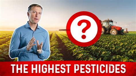 What Food Has the Most Pesticide Residue| Dr. Berg