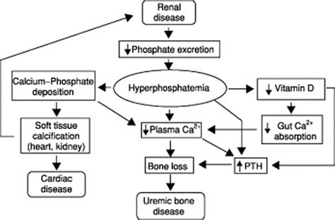 Hyperphosphatemia - MEDizzy