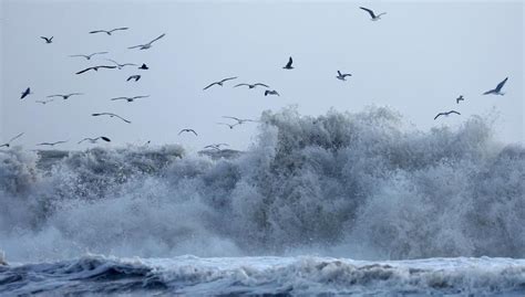 How Ocean Currents Affect the Climate