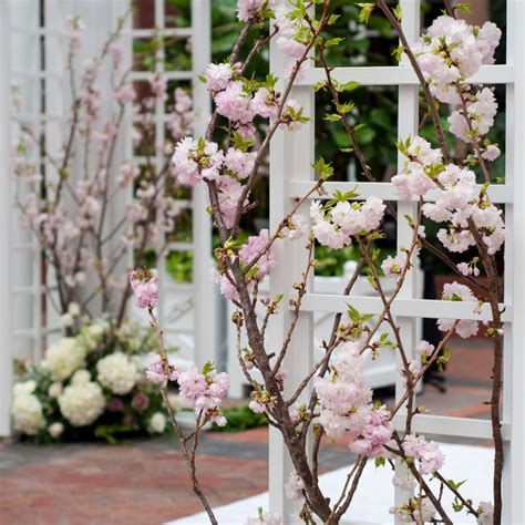 Stylish Wedding Flowers - Blossom Street Weddings & Events