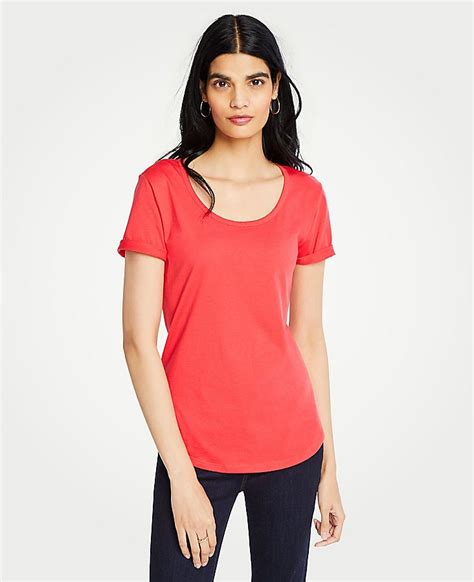 Shop Ann Taylor For Effortless Style And Everyday Elegance Our Pima