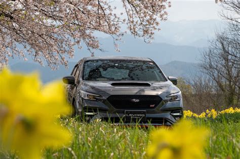 レヴォーグのいつもイイね＆コメントありがとうございます😆・富山県・サクラと愛車・日本海オフ・スイセンと愛車に関するカスタム事例｜車のカスタム情報はcartune