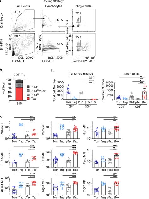 T Cell Isolation B16 F10 ATCC Bioz