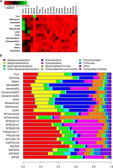 Heatmap Of The 20 Most Abundant Typical Freshwater Taxa A In The Download Scientific Diagram