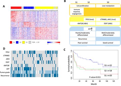 Molecular Subclassification Of Hcc A Gene Expression Profile Of