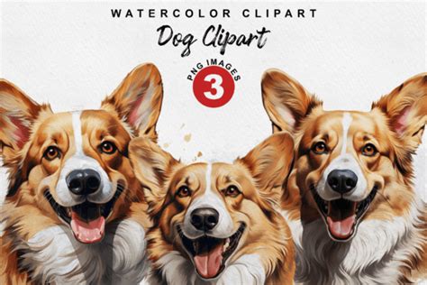 Pembroke Welsh Corgi Watercolor Clipart Graphic By Thedigitalstore