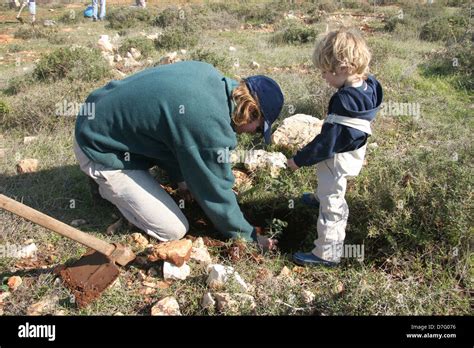 planting a tree on tu bishvat Stock Photo - Alamy