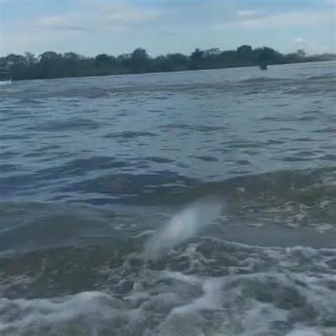 Esta es la laguna de yarinacocha en la hermosa ciudad de Pucallpa Perú