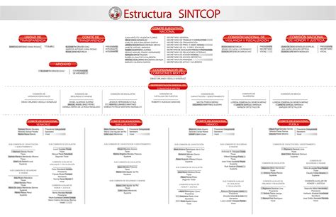 Comite Ejecutivo - SINTCOP