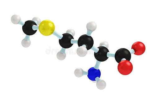 D Struttura Di Metionina Un Aminoacido Essenziale In Esseri Umani