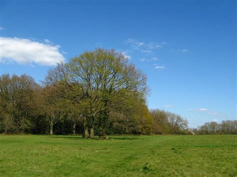 Kenley Common London All You Need To Know Before You Go With