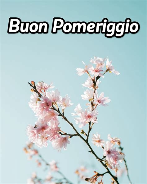 5656 Buon Pomeriggio Autunnale Immagini Per Whatsapp Nuove Albero