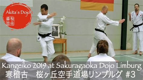 3 Kangeiko Seminar 2019 At Sakuragaoka Dojo Limburg Germany【akitas