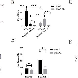 G6PD Inhibition Or Deletion Enhances The Effect Of Regorafenib On HCC