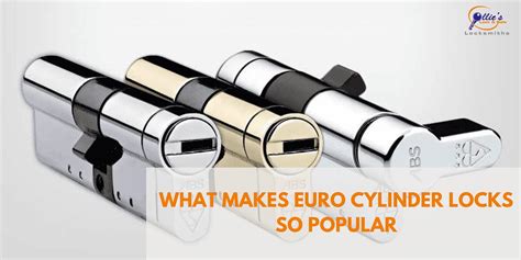 What Makes Euro Cylinder Locks So Popular By Ollies Lock And Safe