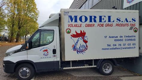 Morel Et Compagnie Corbas Grossiste Viande Adresse Horaires