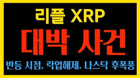 리플 대박 사건 하락이 더이상 무섭지 않은 이유 락업해제 Sec 항소 더이상 무섭지 않아 리플 Sec 항소 승소