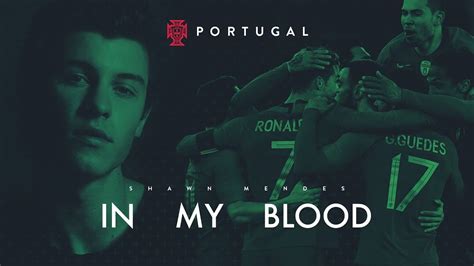 Shawn Mendes Lan A Vers O De In My Blood Dedicada Sele O Portuguesa