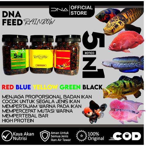 Jual Pelet Dna Rainbow Feed Pakan Premium Untuk Progres Warna Ikan Bisa