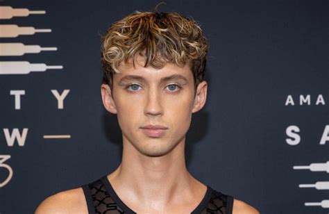 Troye Sivan Husband Wiki Parents Age Net Worth Career