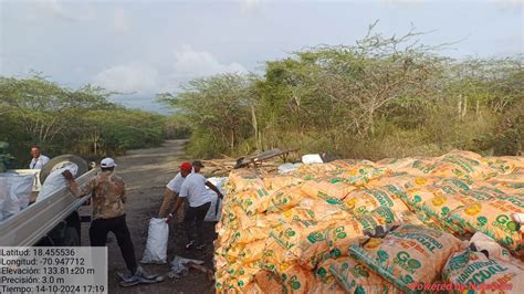 Senpa Y Medio Ambiente Incautan Sacos De Carb N Vegetal