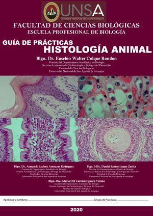 Informe Practica 10 Cortes histológicos rotulados del sistema