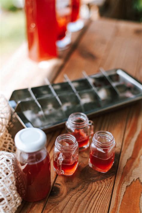 Einfaches Rezept Johannisbeer Likör selber machen mit Ingwer