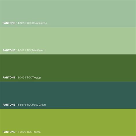 Hint Of Green Color Palette Layout Healthy Color Palette Healthy