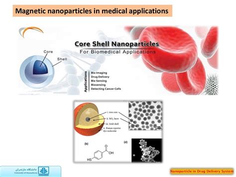 Nanoparticle In Drug Delivery System