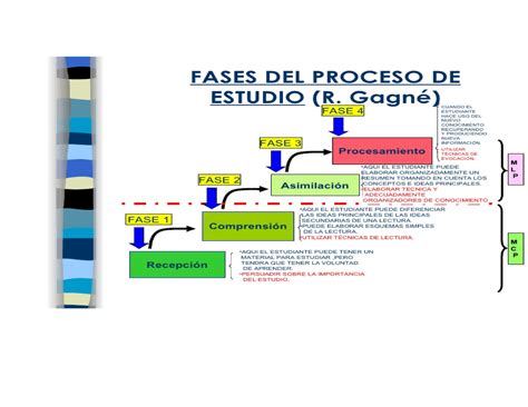 04 Fases DEL Proceso DE Estudio Tecnicas De Estudio Y De