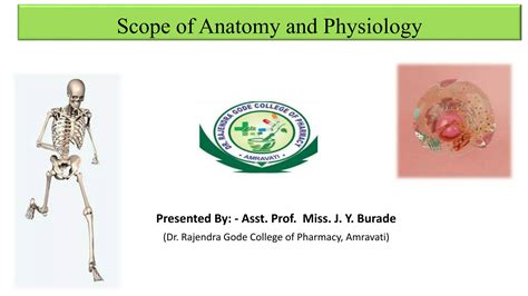 Scope Of Anatomy And Physiology Pptx