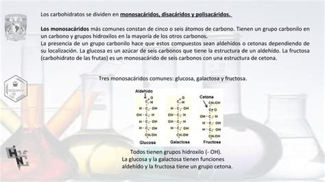 Carbohidratos Ppt