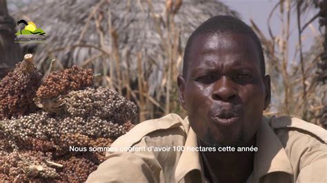 Restauration Des Terres D Grad Es Et Autonomisation Des Petits