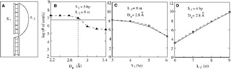 Test Of The Excluded Volume Effects With Different Distance Cutoffs D