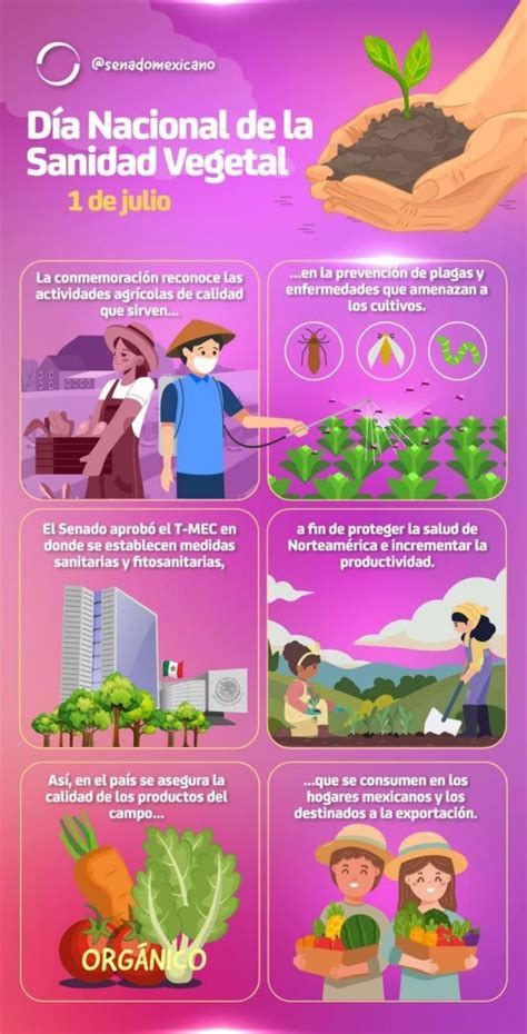 Senado de la República celebra el Día Nacional de la Sanidad Vegetal