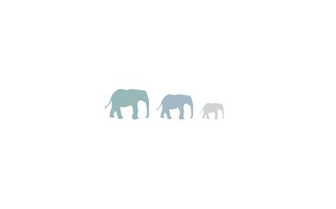 Elephant Aesthetic Wallpaper : 853 x 1280 jpeg 107 кб.