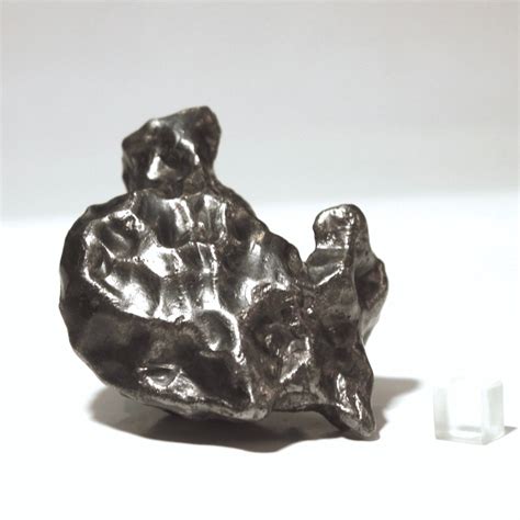 Sikhote Alin meteorite. Sculptural shape - Meteolovers