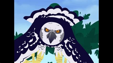 Angry Harpy Eagle Youtube