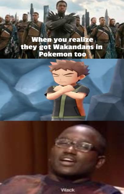 Funny Pokemon Brock Memes