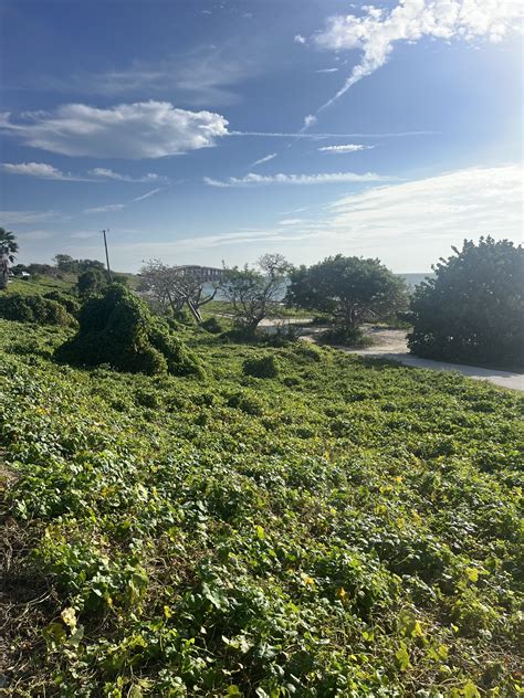 The Unbelievable Kindness of Strangers - The Trek