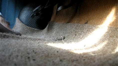 Stunning Brunette Cranking Pumping The Trabant Pedal View Part Candid Car Cranking Clips Sale