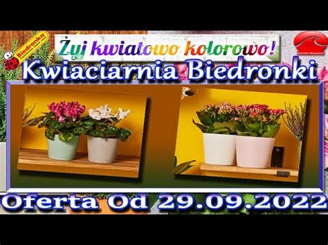 Biedronka Kwiatowe Inspiracje Biedronki Nowa Oferta Od Czwartku 29 09