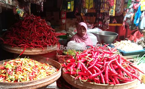 Mendekati Ramadhan Harga Cabai Mulai Merosot