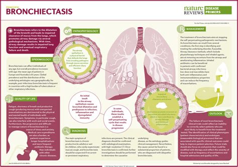 Bronchiectasis Nature Reviews Disease Primers X Mol