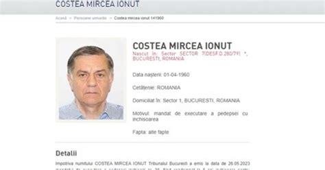 Alina Gorghiu Despre Cazul Fugarului Mircea Costea Ministerul