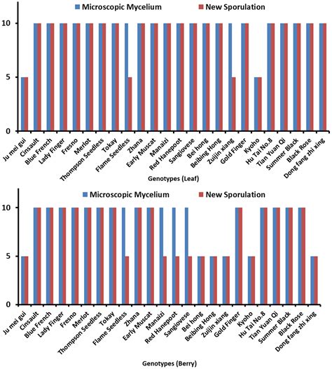 Pathogens Free Full Text Histochemical And Microscopic Studies