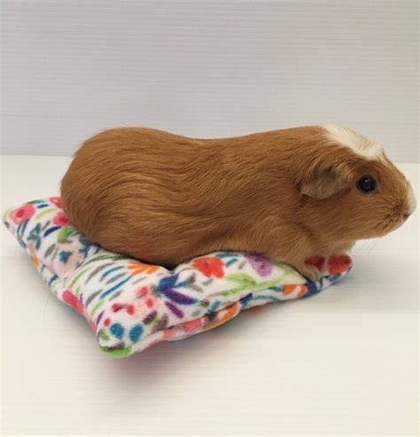 Guinea Pig Pillow Bed Fleece Bed Small Animal Pillow Bed Etsy