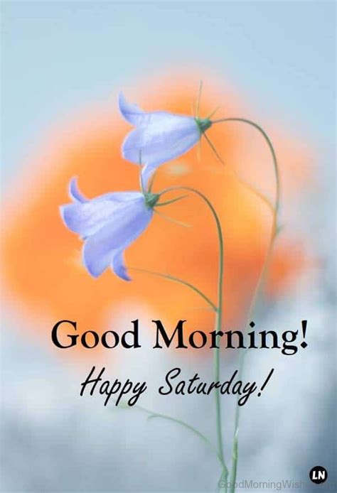 Special Saturday Good Morning Wishes Good Morning Wishes