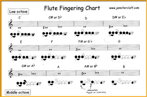 Fast & Foolproof Ways to Learn Flute for Beginners | Flute fingering ...